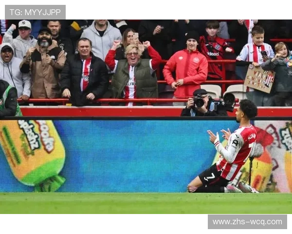 布伦特福德3-1逆转纽卡斯尔,蒂亚戈点射加冕逆转 布伦特福德3-1逆转纽卡斯尔,蒂亚戈点射加冕逆转