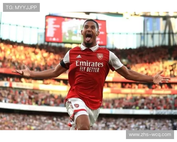 萨利巴、廷贝尔恢复训练,阿森纳后防迎利好 萨利巴、廷贝尔恢复训练,阿森纳后防迎利好